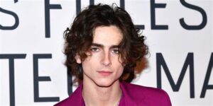 timothee chalamet chin implant